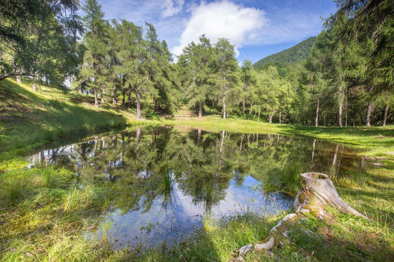 Vila Linda E Tonin Vestreno Exteriér fotografie